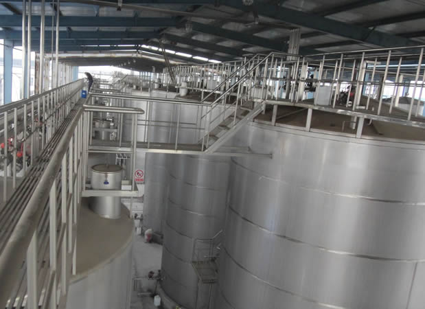 生產(chǎn)線生物發(fā)酵罐